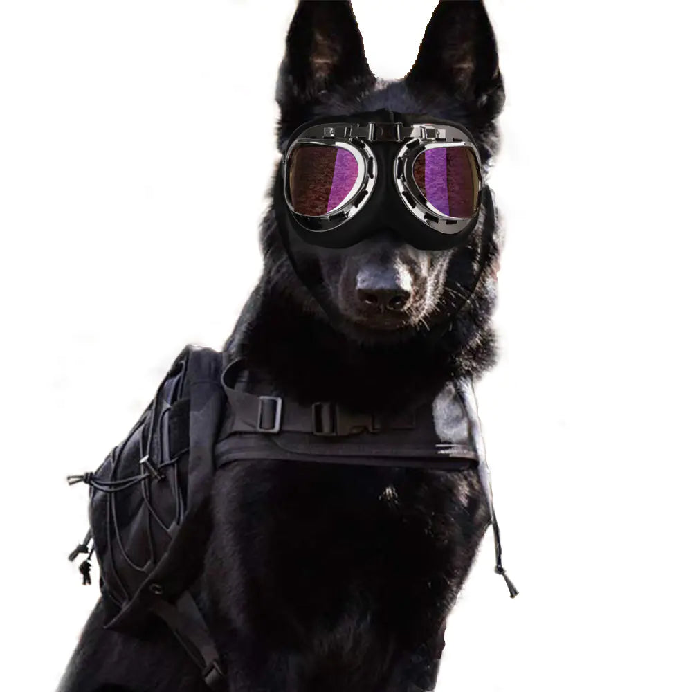Creative Pet Sunglasses with Large Frames for Dogs