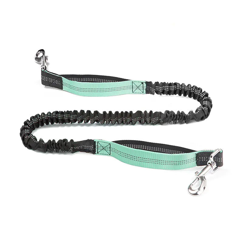 Hands Free Pet Running Waist Bag with Leash