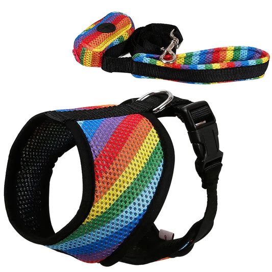 Rainbow Chest Harness