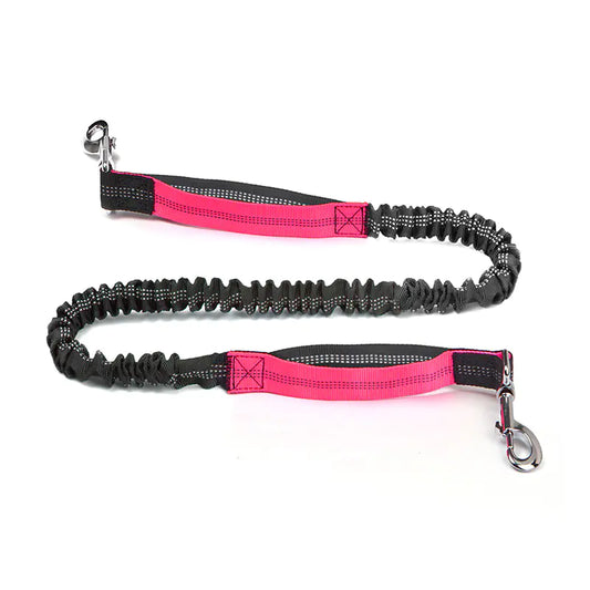 Hands Free Pet Running Waist Bag with Leash