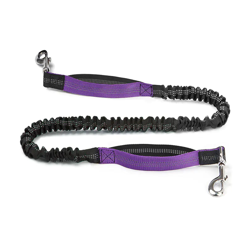 Hands Free Pet Running Waist Bag with Leash