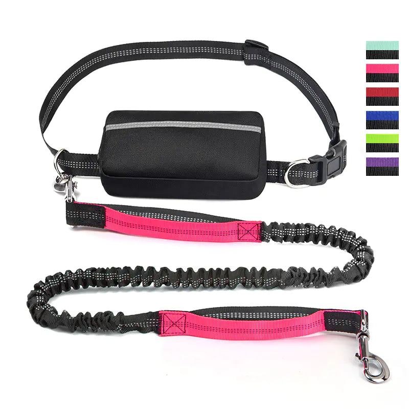 Hands Free Pet Running Waist Bag with Leash