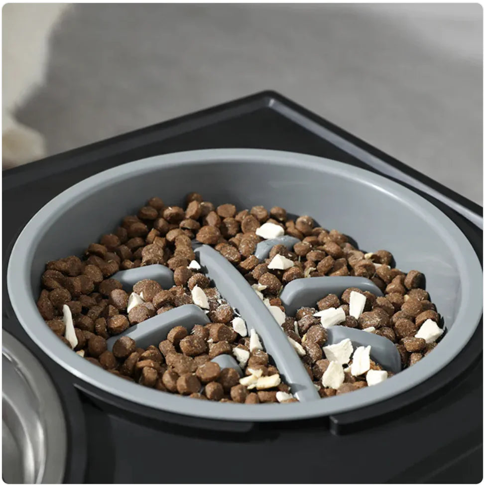 Adjustable Elevated Slow-Feed Dog Bowl-Top Pick!!